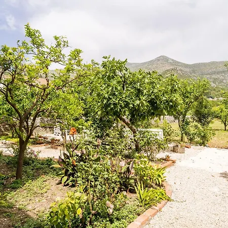 Σπίτι διακοπών Seaside House - Dubrovnik - 19167 Slano
