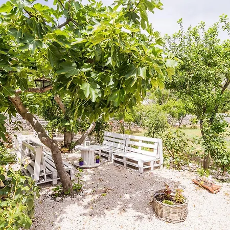 Σπίτι διακοπών Seaside House - Dubrovnik - 19167