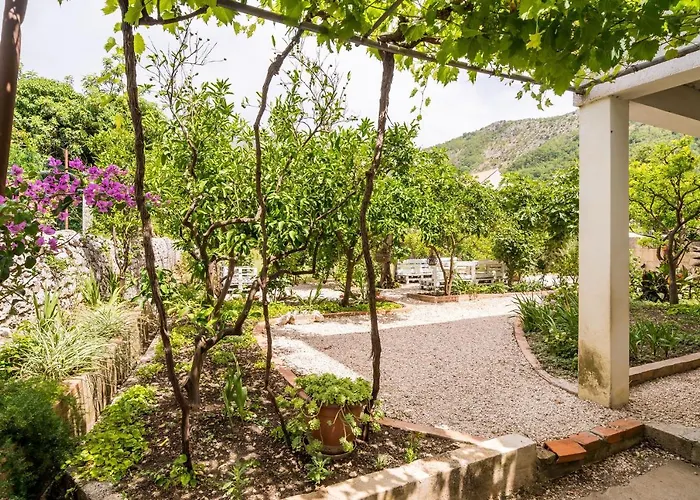 Dom wakacyjny Seaside House - Dubrovnik - 19167 *