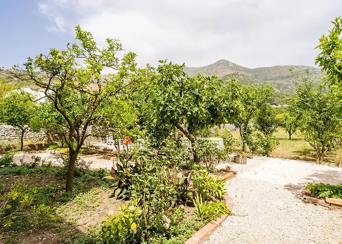 Σπίτι διακοπών Seaside House - Dubrovnik - 19167 Slano