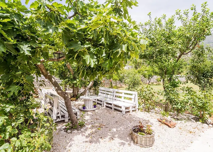 Dom wakacyjny Seaside House - Dubrovnik - 19167